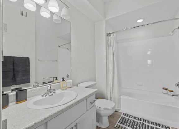 a bathroom with a sink and a toilet and a shower