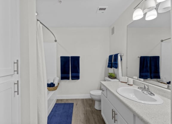 a bathroom with a sink and a toilet and a shower