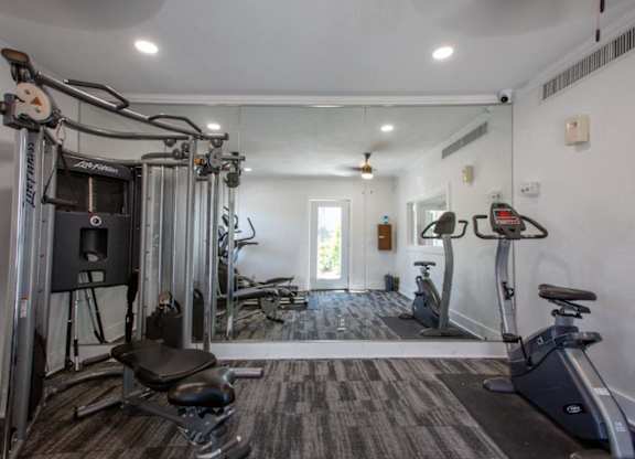 A well-equipped home gym with a variety of exercise machines.