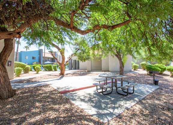 A picnic table is in the middle of a shaded area under a tree.