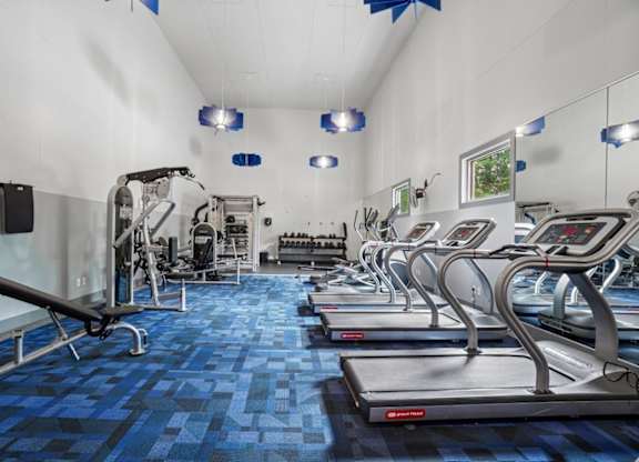 A gym with treadmills, weights, and exercise equipment.