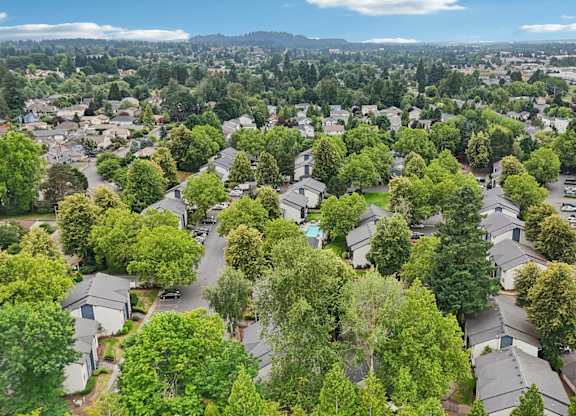 A bird's eye view of a residential area with houses and trees.