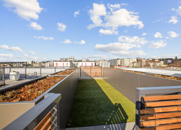 a roof terrace with grass and a view of the city