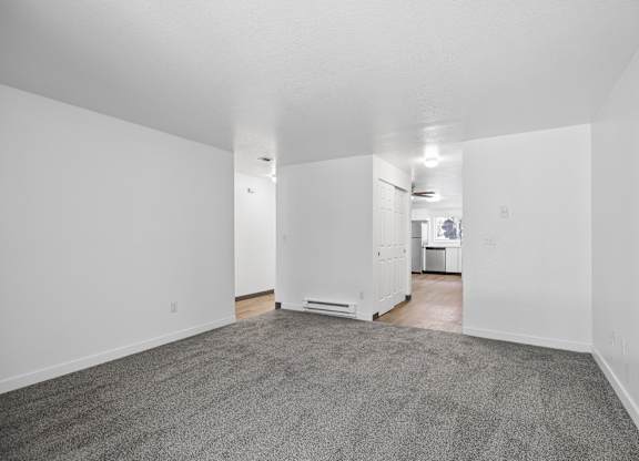 A room with a carpeted floor and a white wall.