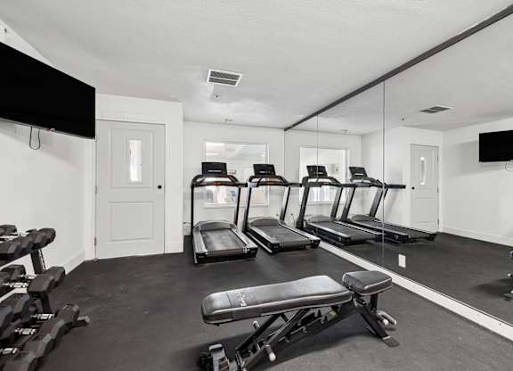 A gym with treadmills, weights, and a flat screen TV.