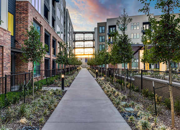 A walkway between two buildings with trees on either side.