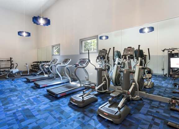 A gym with a variety of cardio equipment.