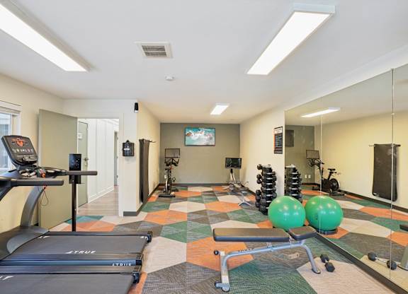 A gym with a treadmill, weights, and exercise balls.