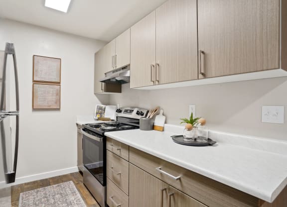 The Grove Apartments kitchen with electric range and stainless steel fridge