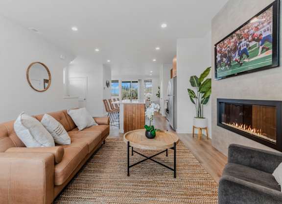 A living room with a fireplace and a television.