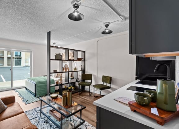 a living area with a kitchen and a living room with a couch