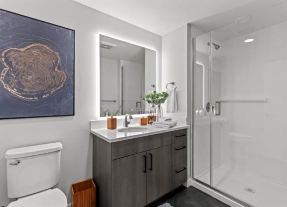 a bathroom with a shower and a sink and a mirror