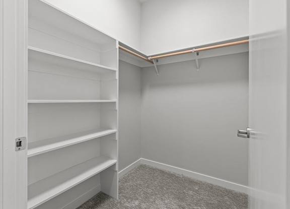 A white closet with shelves and a carpeted floor.