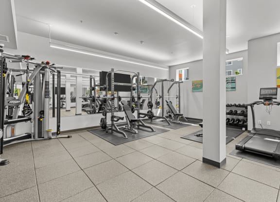 the gym at the house