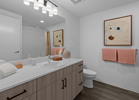 a bathroom with a sink and a toilet and a mirror