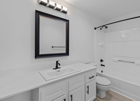 a bathroom with a sink and a toilet and a mirror