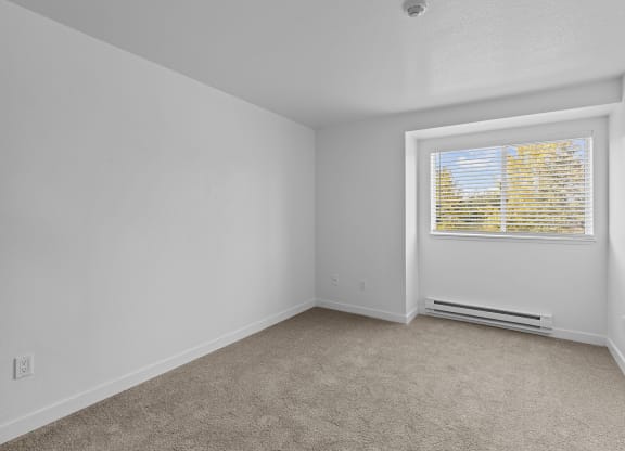 an empty room with a window and carpet
