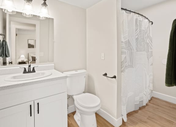 a bathroom with a shower toilet and sink and a mirror