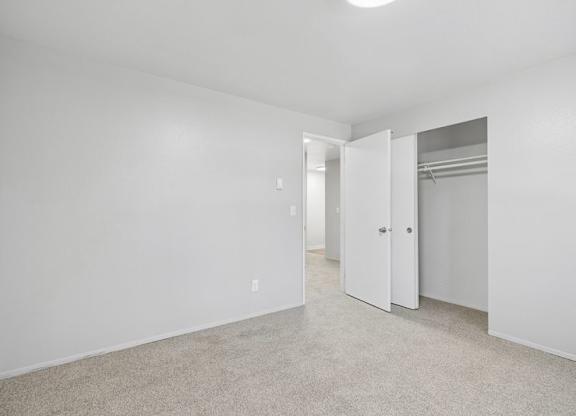 A white room with a carpeted floor and a closet with a door open.