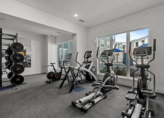 A well-equipped gym with various exercise machines and weights.