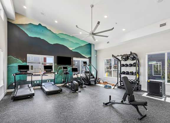 A gym with treadmills, exercise equipment, and a ceiling fan.