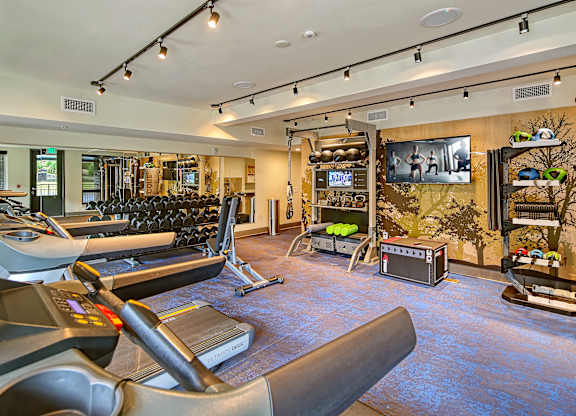 a gym with treadmills and weights and a television