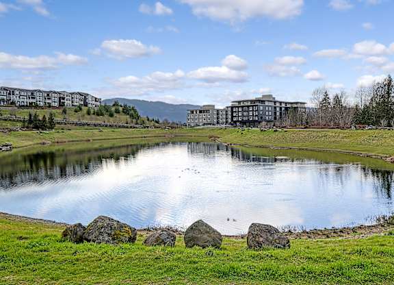 a pond with buildings in the background and a blue sky