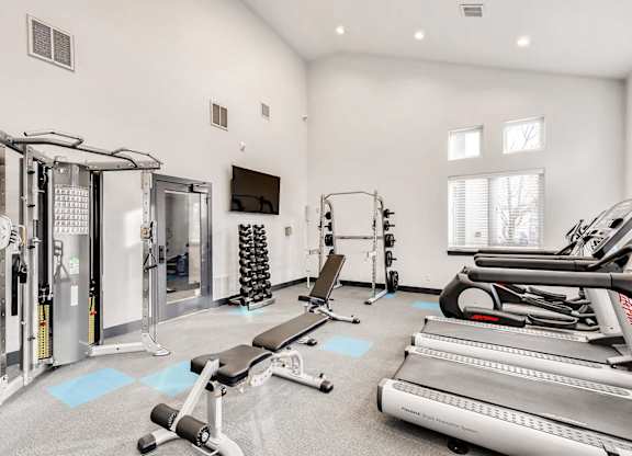 A spacious gym with a variety of equipment including treadmills, weights, and a television.