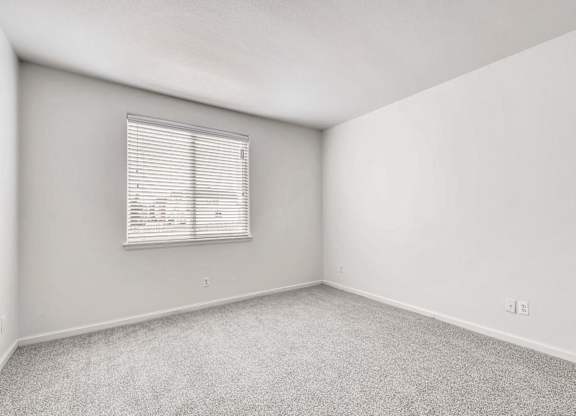 A room with a window and carpeted floor.