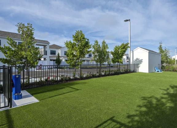 Altair by Soltura Dog Park with a yard with grass and a fence with apartments in the background