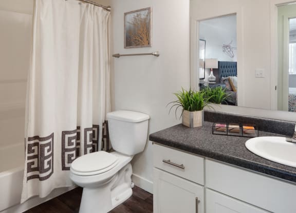 The Grove Apartments Bathroom Sink and Shower