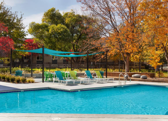The Grove Apartments Pool Area and Lounge Chairs with Landscape