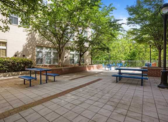 A sunny day at the park with benches and trees.