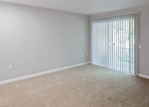 A room with a carpeted floor and a sliding glass door.