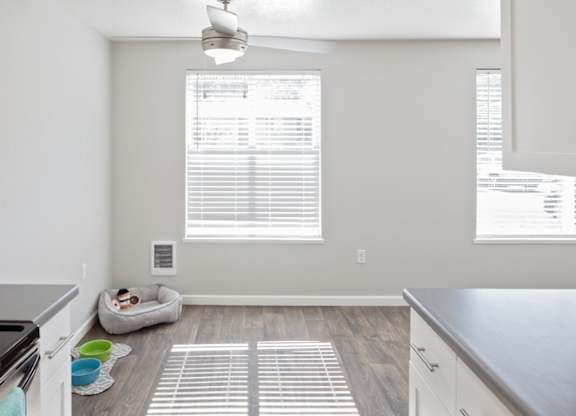 A dog is sitting in a dog bed under a window in a kitchen.