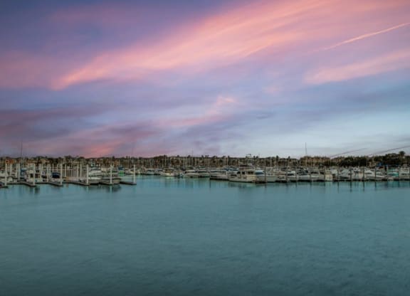 Aura Beacon Island Marina View