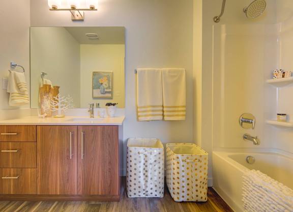 a bathroom with a sink and a bathtub