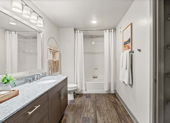 Axis Hamilton Apartments in San Antonio, Texas Model Bathroom