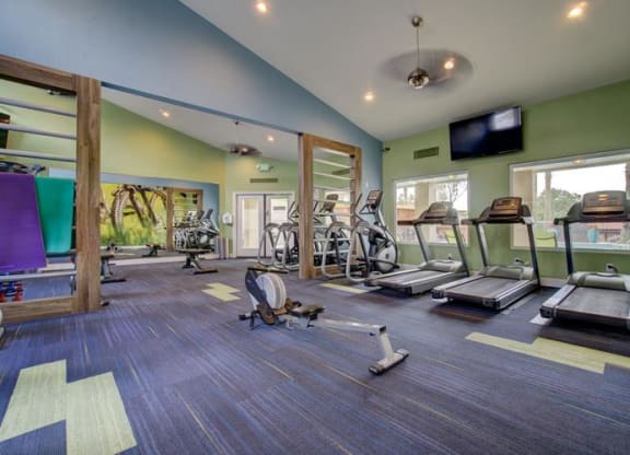 Domain 3201 Fitness Center with Weights and Cardio Machines