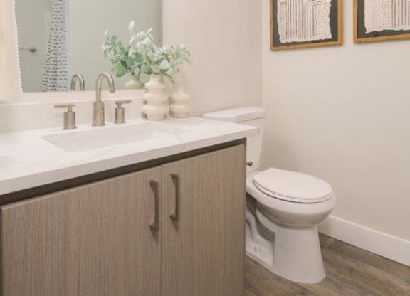 a bathroom with a toilet and a sink and a mirror