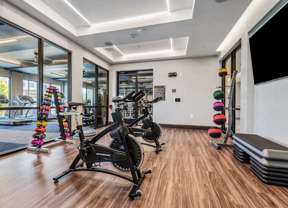 A gym with a treadmill, weights, and exercise equipment.