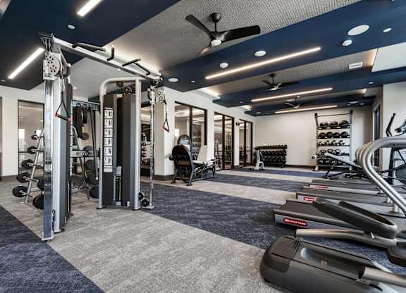 A gym with a variety of equipment including treadmills, weights, and a bench press.