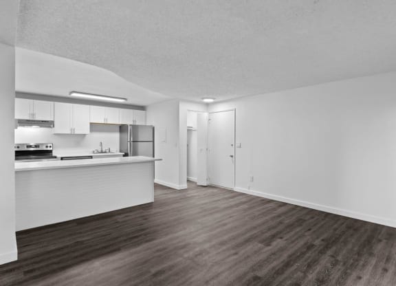 BRIX Apartments Model Kitchen