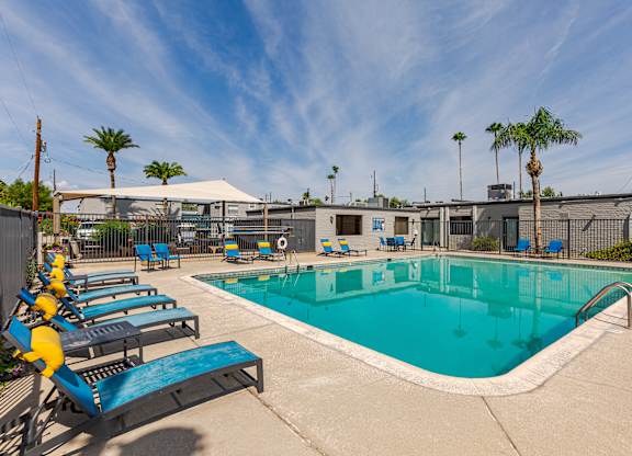 A large swimming pool with lounge chairs and palm trees in the background.
