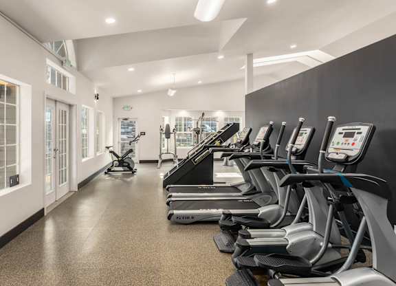 A row of treadmills are lined up in a gym.