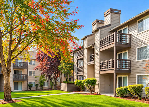 Apartment complex with a tree showing fall colors.