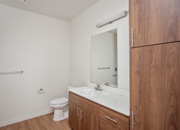 a bathroom with a sink and a toilet and a mirror