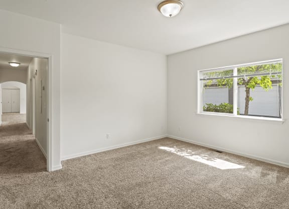 a bedroom with a carpeted floor and a large window