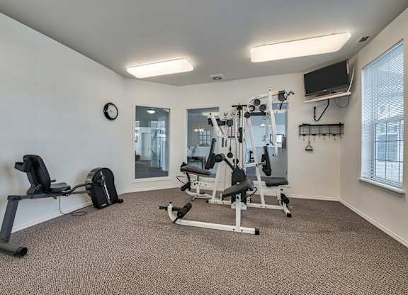 A well-equipped home gym with a variety of exercise machines.