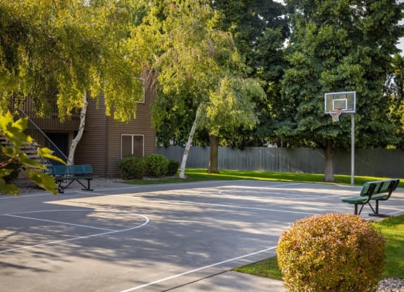 Crosspointe Apartments Basketball Court